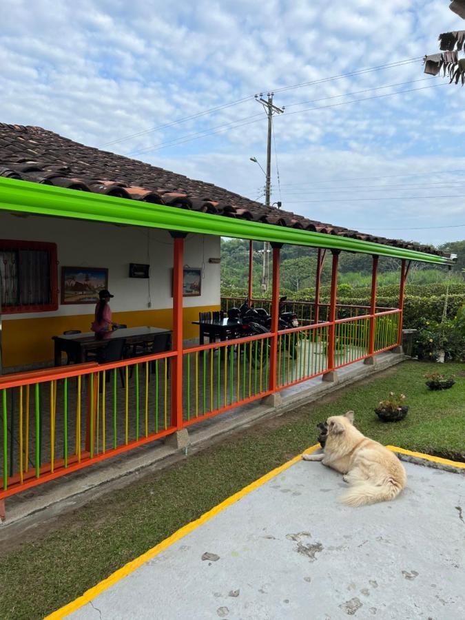 Alojamiento Campestre Hawaii Монтенегро Екстериор снимка